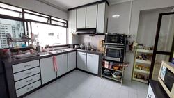 Blk 520 Pangshan Valley (Bukit Panjang), HDB Executive #500282781